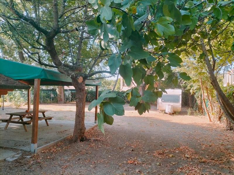 fotografie - appartamento Faenza (RA)  