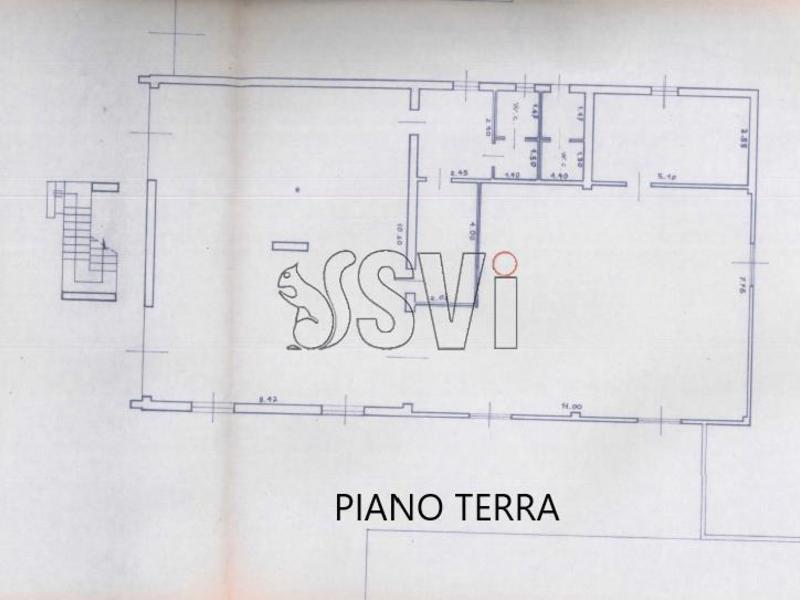 fotografie - laboratorio Faenza (RA)  