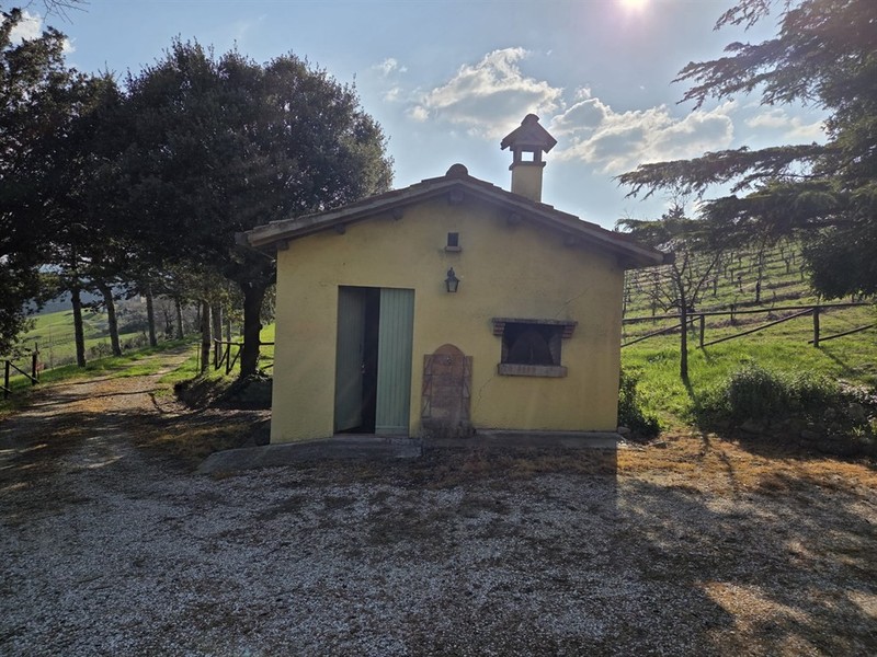 fotografie - Rustico / Casale Brisighella (RA)  