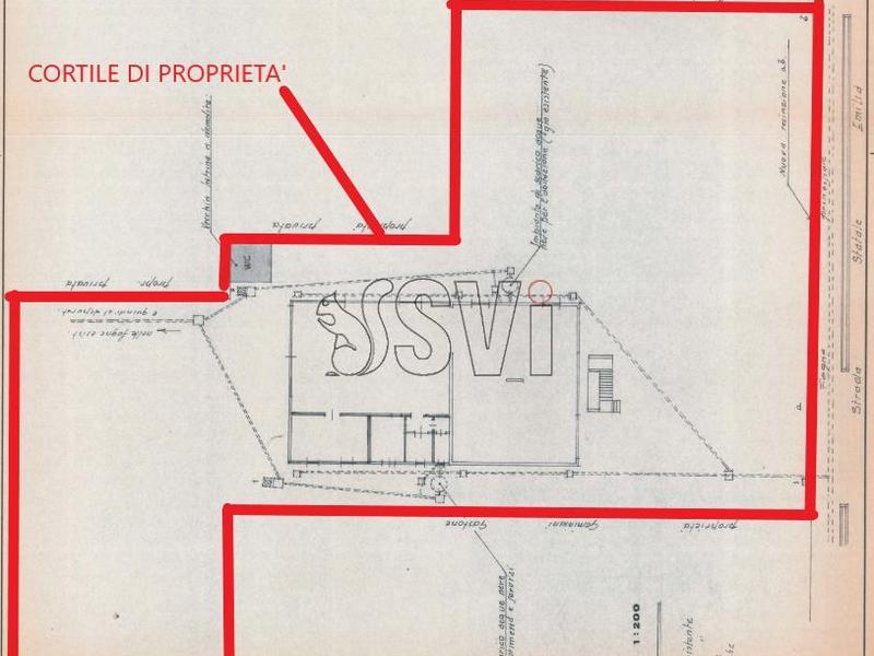 fotografie - laboratorio Faenza (RA)  