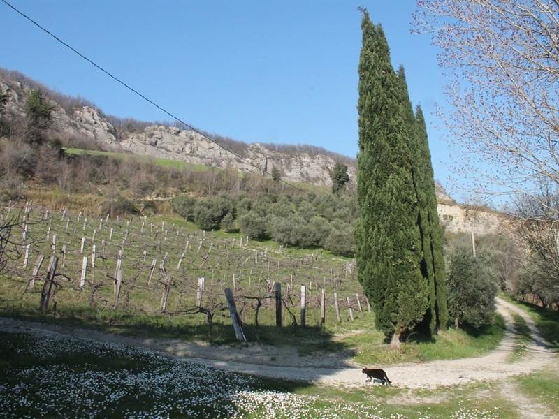 fotografie - Rustico / Casale Casola Valsenio (RA)  