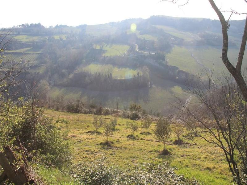 fotografie - Rustico / Casale Casola Valsenio (RA)  