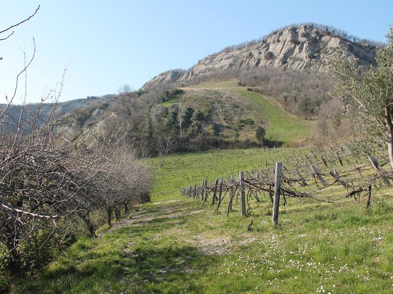 fotografie - Rustico / Casale Casola Valsenio (RA)  