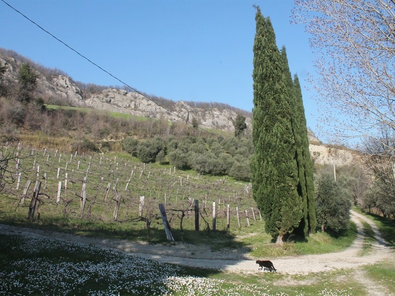fotografie - Rustico / Casale Casola Valsenio (RA)  