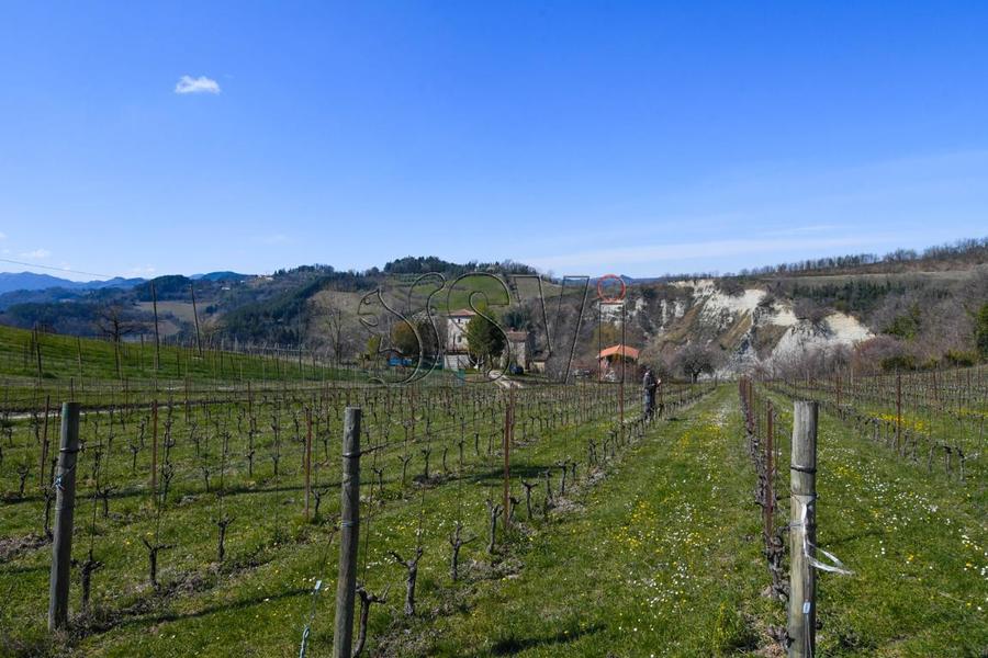 fotografie - Rustico / Casale Brisighella (RA)  