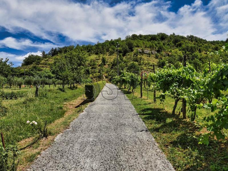 fotografie - Casa Indipendente Marradi (FI) Popolano 