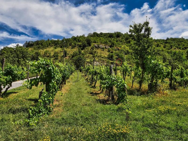 fotografie - Casa Indipendente Marradi (FI) Popolano 