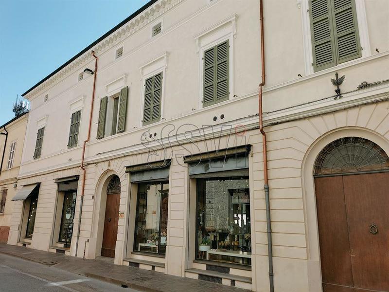 fotografie - negozio Faenza (RA)  