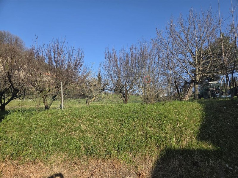 fotografie - Rustico / Casale Brisighella (RA)  