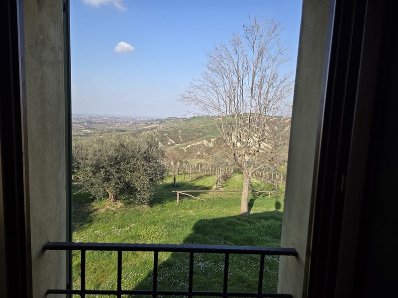 fotografie - Rustico / Casale Brisighella (RA)  