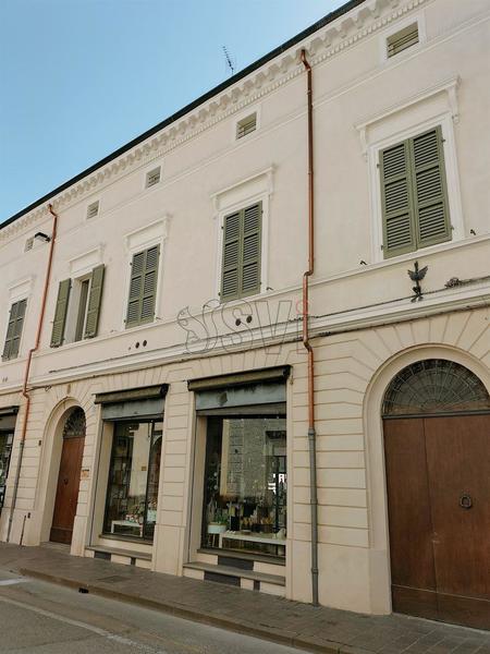 fotografie - negozio Faenza (RA)  