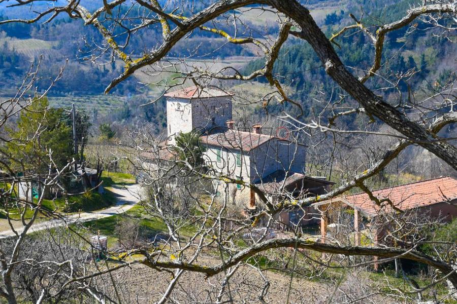 fotografie - Rustico / Casale Brisighella (RA)  