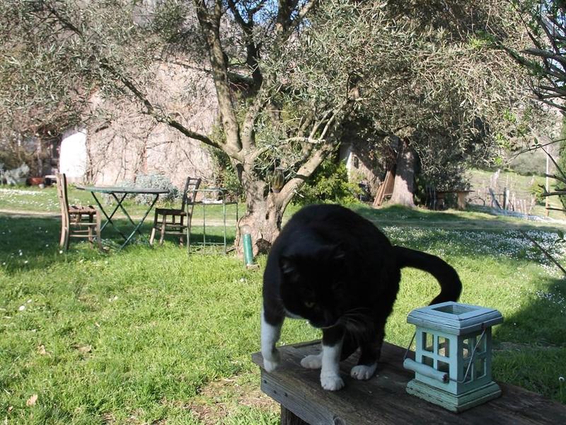 fotografie - Rustico / Casale Casola Valsenio (RA)  