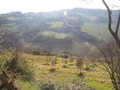 Rustico / Casale Casola Valsenio (RA)  