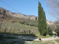Rustico / Casale Casola Valsenio (RA)  
