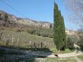 Rustico / Casale Casola Valsenio (RA)  