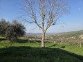 Rustico / Casale Brisighella (RA)  