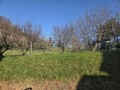 Rustico / Casale Brisighella (RA)  