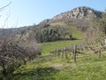 Rustico / Casale Casola Valsenio (RA)  