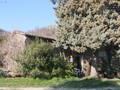 Rustico / Casale Casola Valsenio (RA)  
