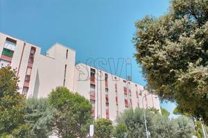 vendita appartamento