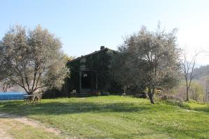 vendita rustico / casale